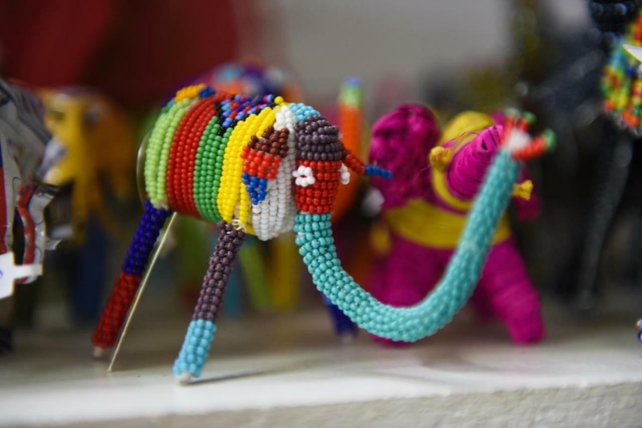 Knysna Elephant Park Lodge เพลตเตนเบิร์กเบย์ ภายนอก รูปภาพ